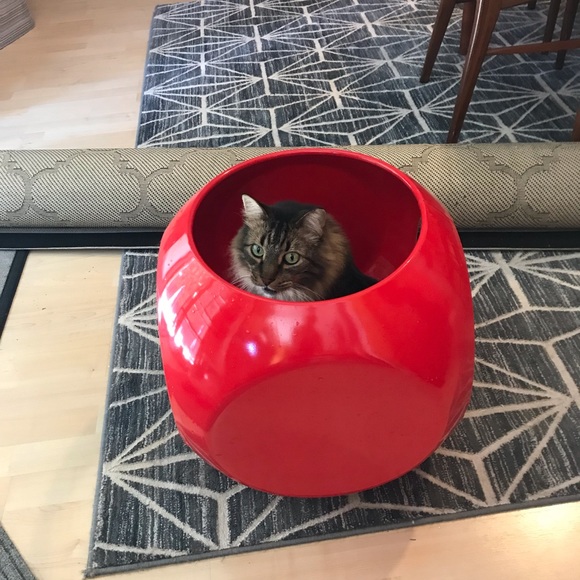 Meet your Posher, Cat - Picture 6 of 8